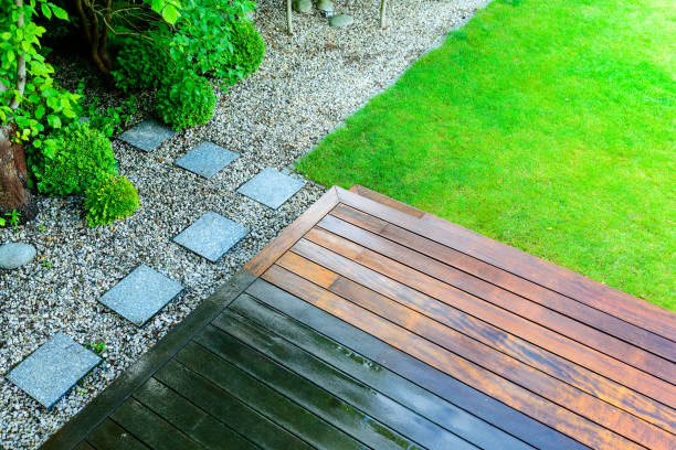 Best Fence Cleaning  in Todd Creek, CO